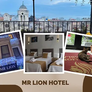 https://mr-lion-kumkapi-otel.istanbul-turkeyhotels.com